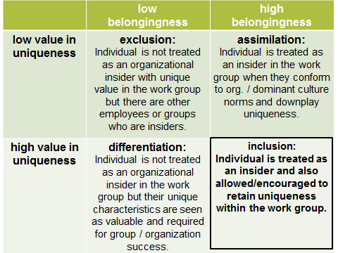 inclusion